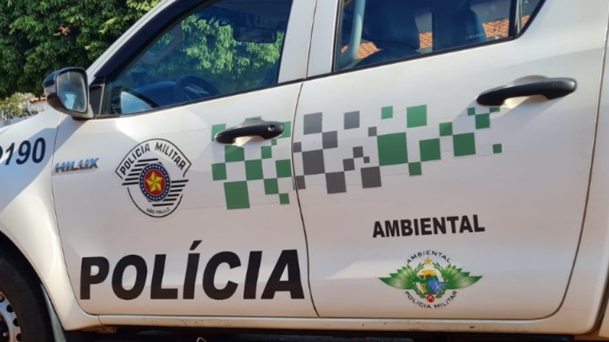 POLÍCIA AMBIENTAL RESGATA 10 AVES EM CATIVEIRO NA CIDADE DE GUARATINGUETÁ