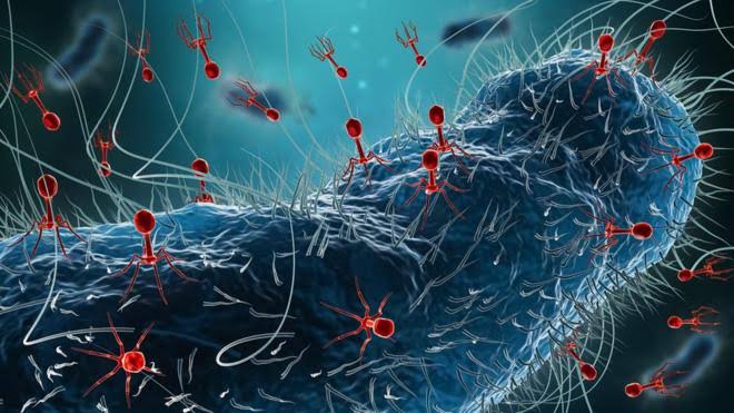 VÍRUS DA ZIKA É MODIFICADO EM LABORATÓRIO PARA TRATAMENTO DE TUMORES