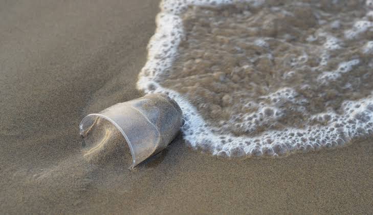 ALGUMAS PRAIAS E PEIXES DE UBATUBA ESTÃO CONTAMINADOS COM MICRO PLÁSTICOS