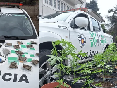 HOMEM É PRESO EM FLAGRANTE PELA POLÍCIA MILITAR AMBIENTAL POR TRÁFICO DE DROGAS